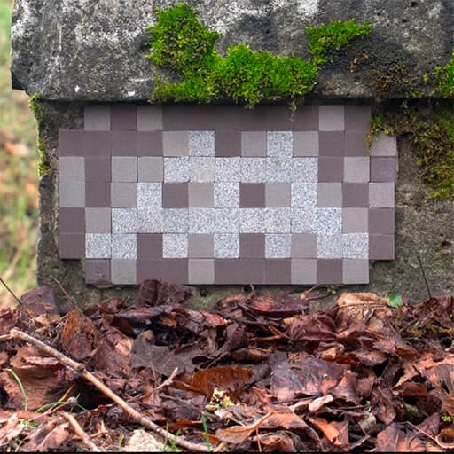 Invader VRS_27