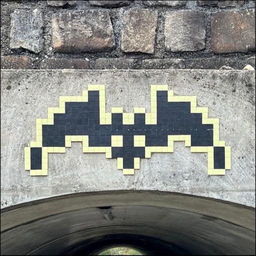 Invader FTBL_24