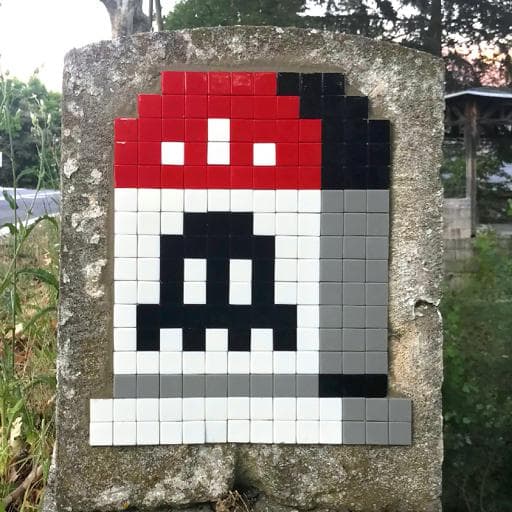 Invader LBR_01