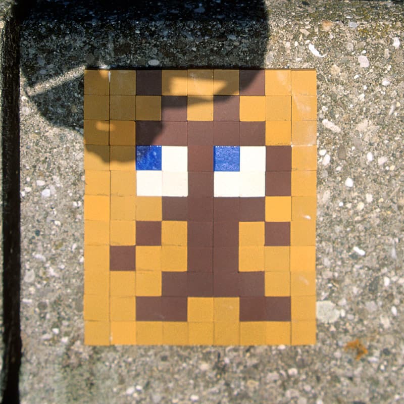 Invader GNV_19