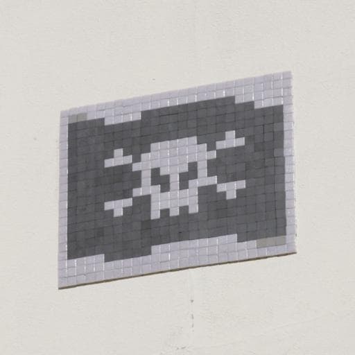Invader NCL_13