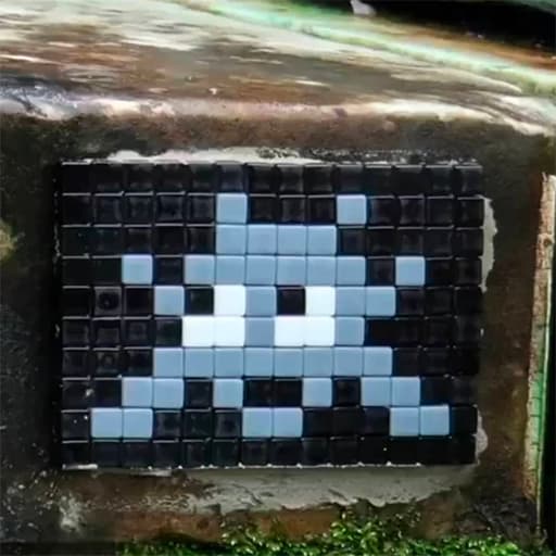 Invader VRS_24