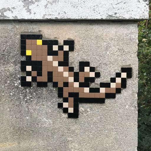Invader LBR_03