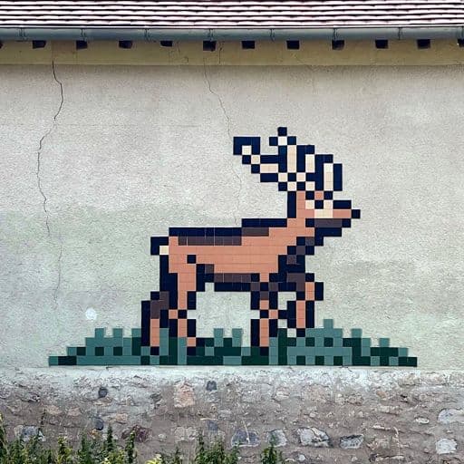 Invader FTBL_31