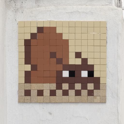 Invader RBA_20