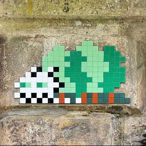 Invader FTBL_19
