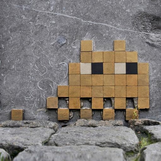 Invader ANVR_01