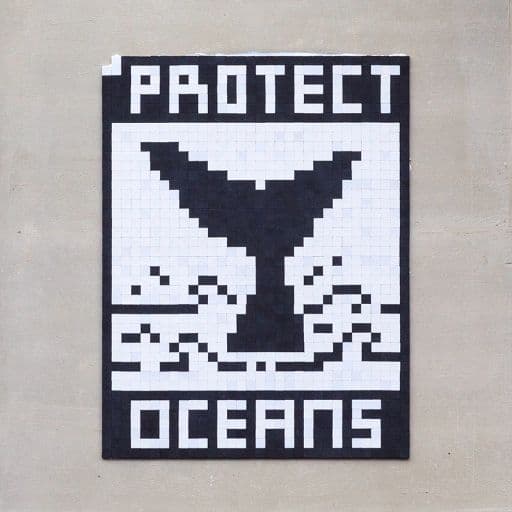 Invader PA_1522