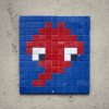 Invader LY_13
