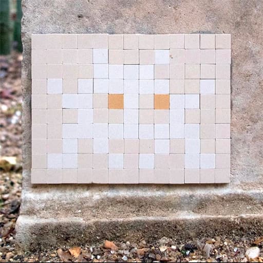 Invader VRS_25