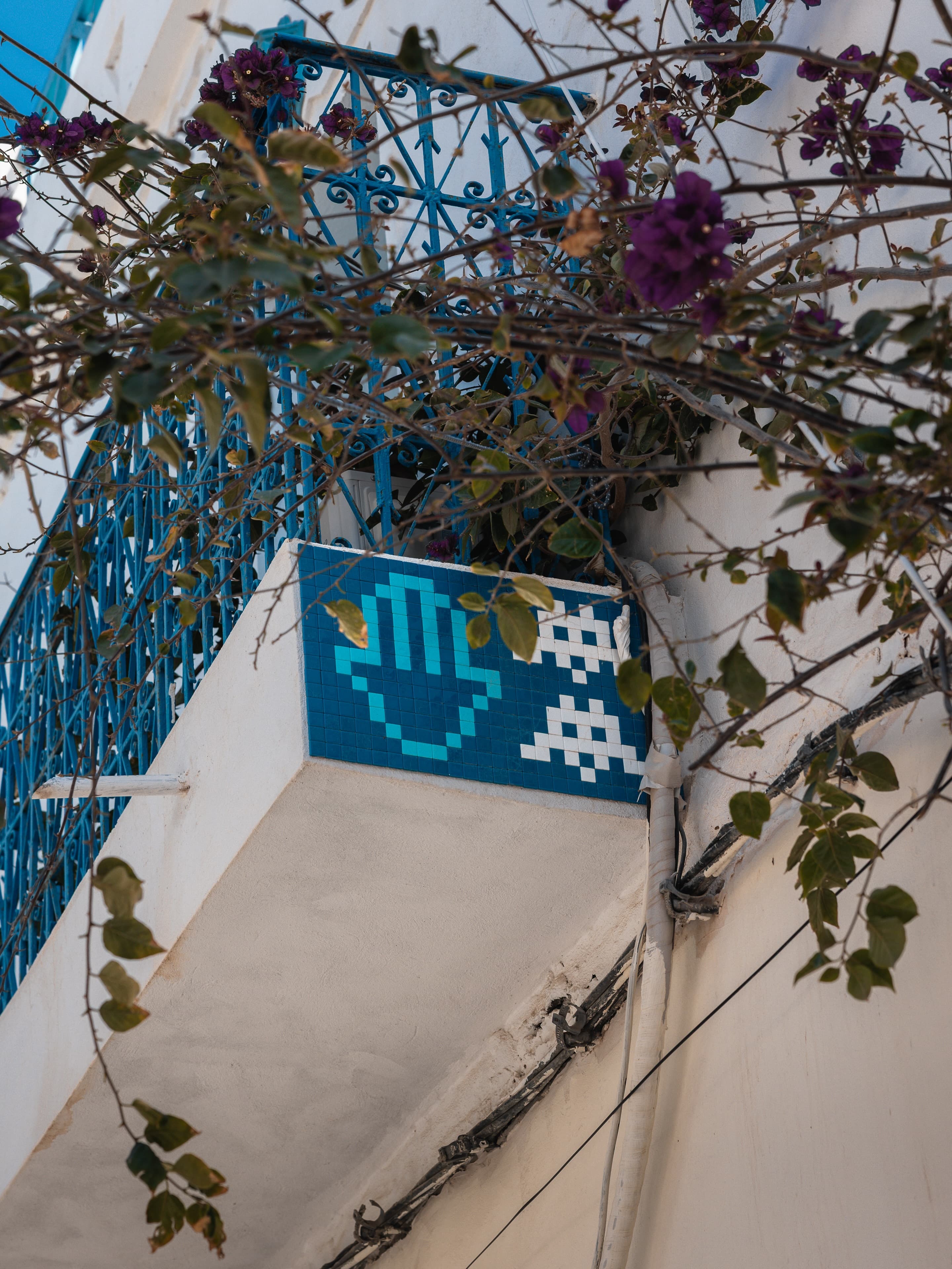 Photo by Alexander Lotus in Djerba.