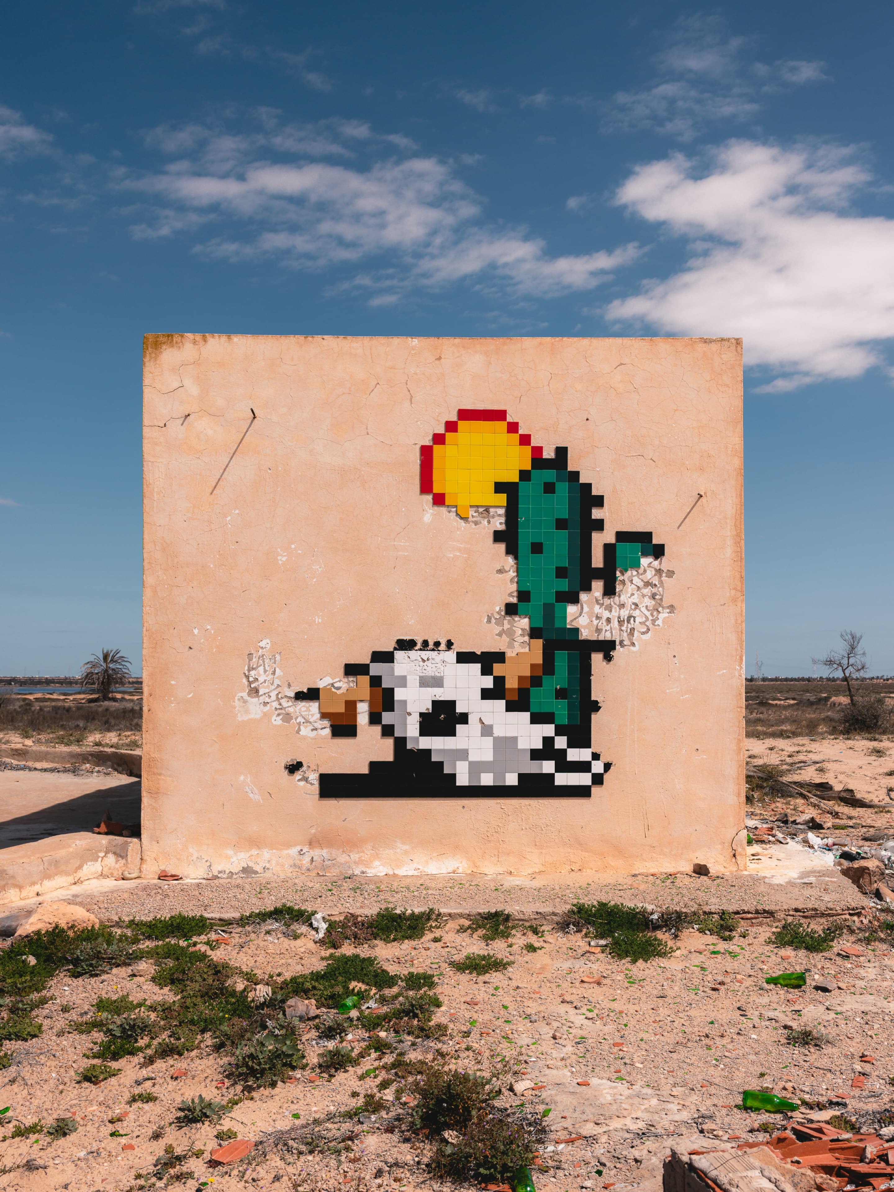 Invader DJBA_27