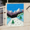 Invader ANZR_03