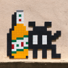 Invader MLGA_24