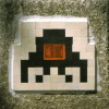 Invader PA_304