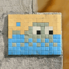 Invader PA_529