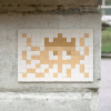 Invader VRS_26