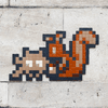 Invader ORLN_11
