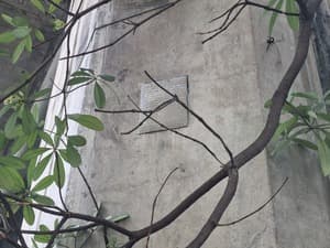 Invader BGK_18