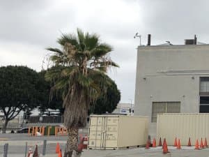 Invader LA_145