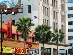 Invader LA_169