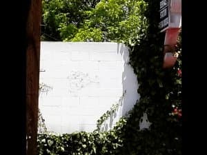 Invader LA_175