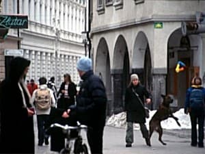Invader LJU_09