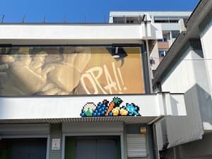 Invader LJU_22
