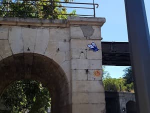 Invader MARS_81