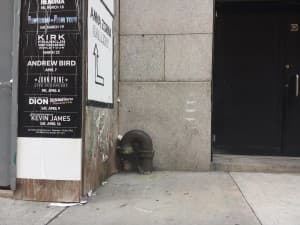 Invader NY_111