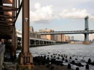 Invader NY_113