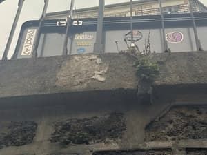 Invader PA_302