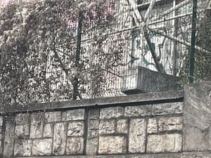 Invader PA_784