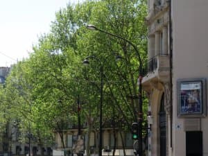 Invader PA_868