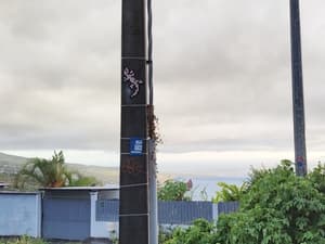 Invader REUN_09