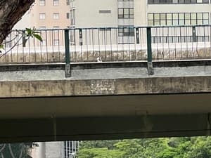 Invader SP_01