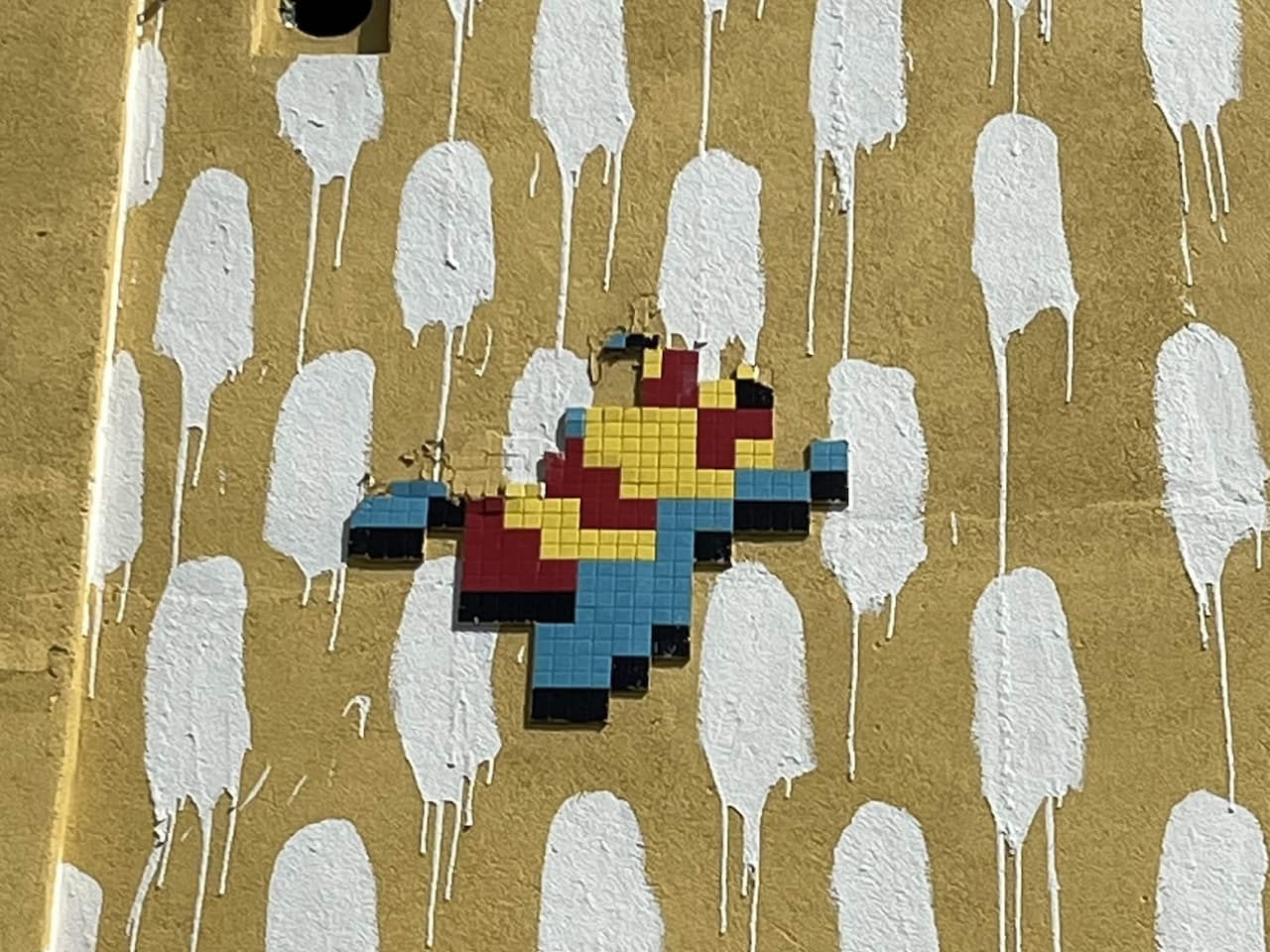 Invader LBR_05