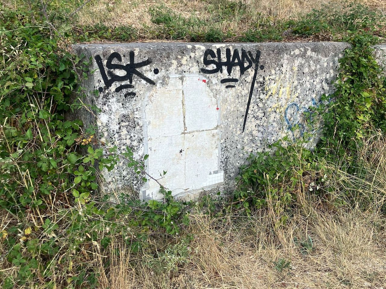 Invader LBR_08