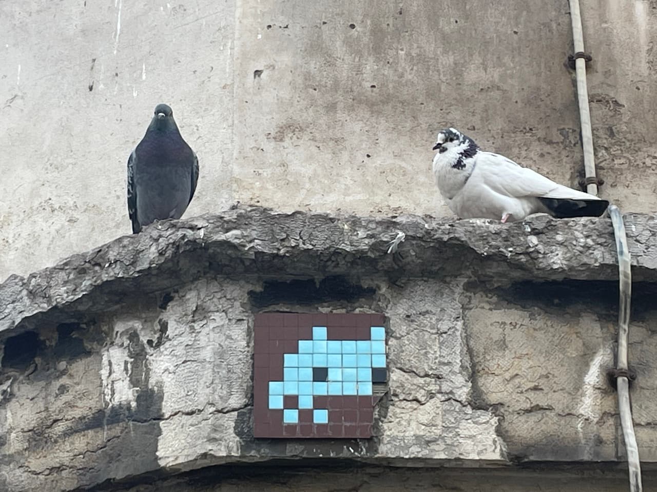 Invader PA_04