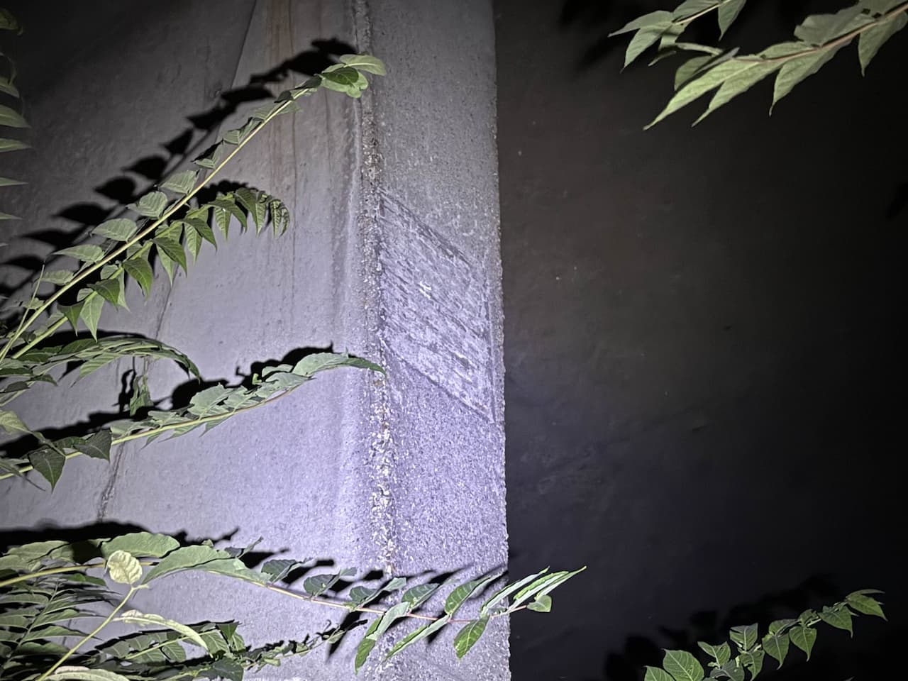 Invader PA_611